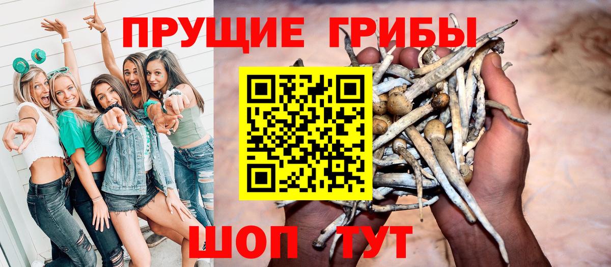 Галлюциногенные грибы GOLDEN TEACHER Липецк