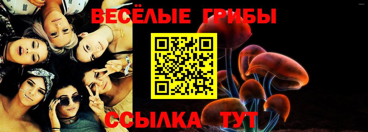 Липецк  Псилоцибиновые грибы мицелий  Вход с VPN 