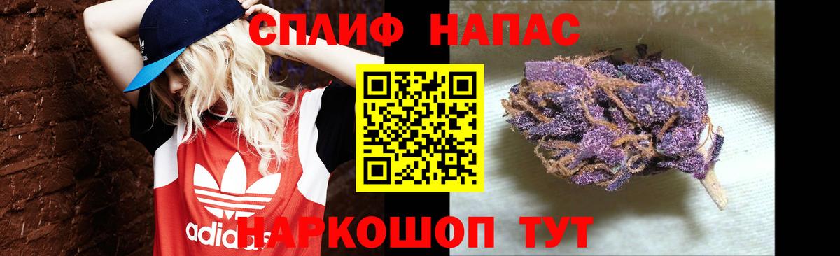Бошки Шишки марихуана  Бошки марихуана планчик  Марихуана White Widow  Каннабис Bruce Banner  Вход с VPN  Липецк 